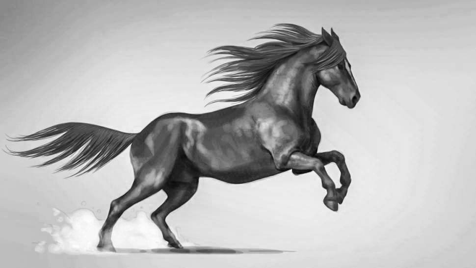 Desenhando um Cavalo - Desenho Realista 